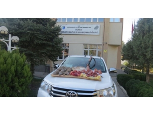 Erzincan’da Usulsüz Avlanan 10 Kişiye 43 Bin 395 Lira Ceza Kesildi