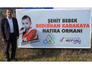 Şehit Bebek Bedirhan İçin 1111 Fidan Dikildi