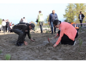 Çatalzeytin’de 200 Çam Fidanı Toprakla Buluştu