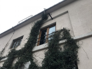 Ölü Bulunan Eski İngiliz İstihbarat Subayının Eşinin İfadesi Ortaya Çıktı