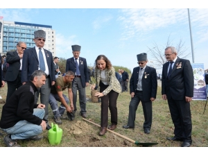 Rektör Çakar Fidanları Gazilerle Dikti