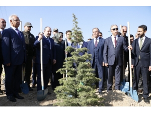 Bakan Varank: “Gezi Parkı’nda Birkaç Ağaç İçin Sokağa Çıkanların Artan Orman Varlıkları İle İlgili Tek Bir Sözünü Duyamazsınız"