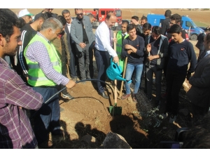 Şanlıurfa’da ‘Geleceğe Nefes’ İçin On Binlerce Ağaç Dikildi