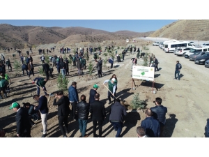 Sivas’ta 49 Noktada 511 Bin 279 Fidan Dikildi