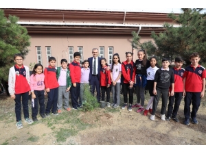 Çayırova’da Yeşile 600 Fidanlık Katkı