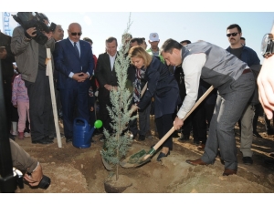 Batman Üniversitesi’nde 22 Bin 500 Fidan Toprakla Buluştu