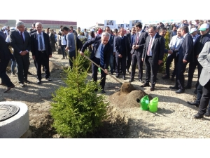 Isparta’da ‘Bugün Fidan Yarın Nefes’ Etkinliği: 145 Bin Fidan Toprakla Buluştu