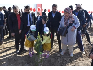 Ak Parti Batman İl Başkanı Gür Fidan Dikimi Etkiliğine Katıldı