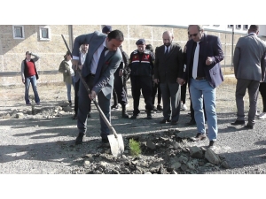 Kulu’da Fidanlar Toprakla Buluşturuldu.