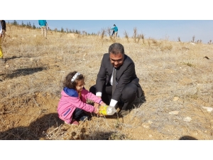 Ilgın, Fidan Dikimine 50 Bin Fidanla Destek Oldu