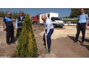 Akdeniz Belediyesi’nden Ağaçlandırma Seferberliğine Destek