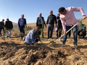 Hüyük’ten Ağaçlandırma Seferberliğine 20 Bin Fidan Desteği