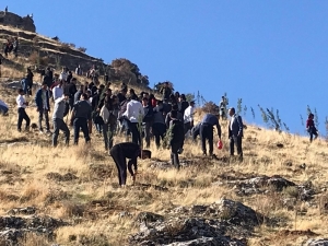 Gercüş’te 3 Bin Fidan Toprakla Buluştu