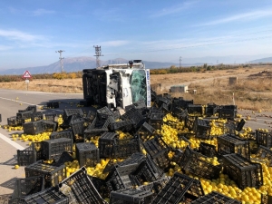 Isparta’da Ayva Yüklü Kamyon Devrildi: 1’i Ağır, 5 Yaralı