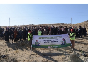 “Ak Kadınlar” 33 Bin Fidanı Toprakla Buluşturdu