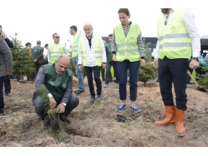 Başkan Söğüt Vatandaşlarla Fidan Dikti