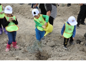 Paü Binlerce Fidanın Toprakla Buluşmasına Destek Oldu