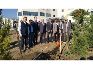 7 Bin Fidanla Yarına Nefes Oldular