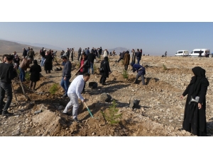 Gökhöyük’te Fidanlar Toprakla Buluştu