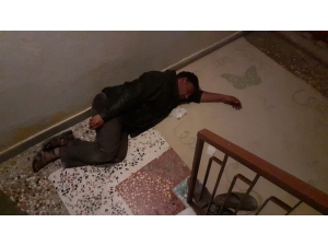 İnek Hırsızı Kanlar İçerisinde Yakalandı