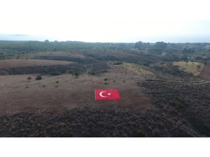 Datça’nın Geleceğine Nefes İçin 11 Bin Fidanı Toprakla Buluşturdu