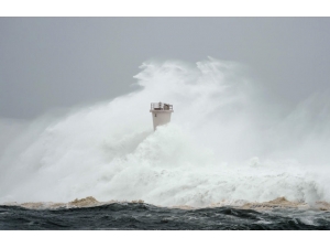 Hagibis Tayfunu’nda Ölü Sayısı 91’e Yükseldi