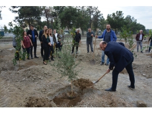 Ayto’dan Aydın’ın Geleceğine 30 Fidan