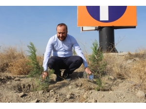 Ak Parti İl Başkanlığı 3 Bin Adet Fidanı Toprakla Buluşturdu