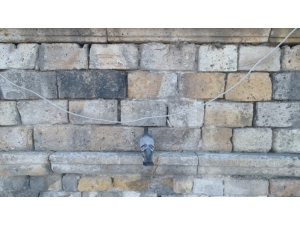 Tarihi Kervansaray Duvarına Kafası Sıkışan Güvercin Kurtarıldı