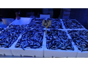 Tutan Da Satan Da Alan Da Memnun