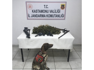 Kenevir Eken Şahıslara Suçüstü Yakalandı: 3 Gözaltı