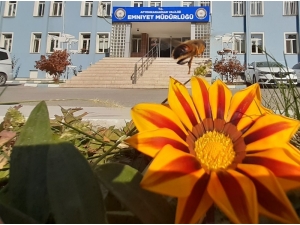 Afyonkarahisar’da Sonbahar Ve Yaz Görüntüleri Bir Arada