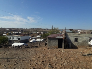 12 İneği Çalıp Kayıplara Karıştılar