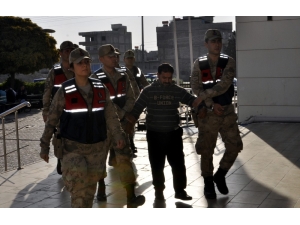 Fıstık Hırsızlarının Elebaşı Yakalandı