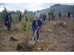 Muğla’da Ağaçlandırma Seferberliği