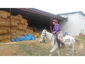 Kadın Çoban İş Başında