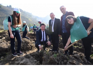 Altınordu Belediyesinden Okullara Ağaç Katkısı