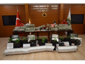 Pendik’te Uyuşturucu Tarlasına Çevrilen Depoya Baskın