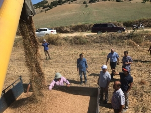 Tüm Ülkede Arttı, Ege Bölgesi’nde Azaldı