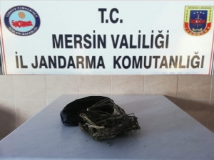 Mersin’de 200 Gram Esrar Ele Geçirildi
