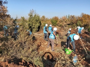 Adalet Ormanı’na Hükümlüler Tarafından 300 Fidan Dikildi