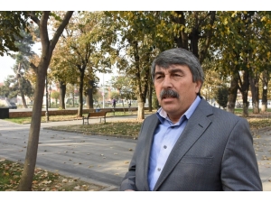 Düzce’de Çürümüş Ağaçlar Kesiliyor