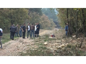 Ağaca Asılı Halde Erkek Cesedi Bulundu