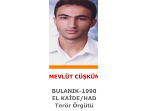 Suriye’den Türkiye’ye Geçen El-kaide’li Terörist İstanbul’da Yakalandı