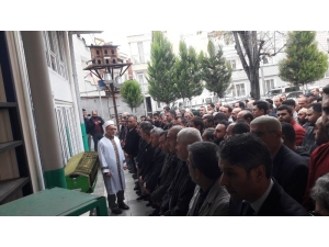 Beton Mikserinin Ezdiği Yaşlı Adam Göz Yaşları Arasında Toprağa Verildi