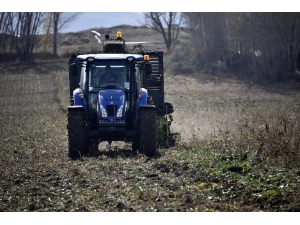 Şeker Pancarı Üreticileri, Firmanın Yüksek Fire Oranı Göstermesinden Dertli