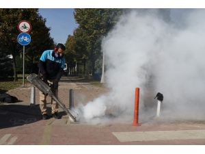 Sivrisinek İle Mücadele Devam Ediyor