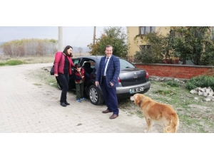 Özel Öğrencinin Köpek Sevgisi İçin Seferber Oldular