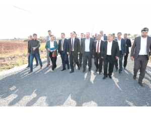 Beyazgül Asfalt Çalışmalarını Yerinde İnceledi