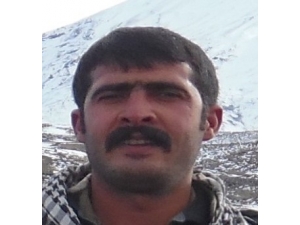 Gri Liste’de Aranan Terörist Etkisiz Hale Getirildi